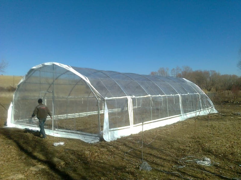 5384644032132014111701-jpeg